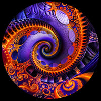 A circular abstract artwork featuring a vivid spiral fractal design in purple, blue, orange, and yellow on a black background.